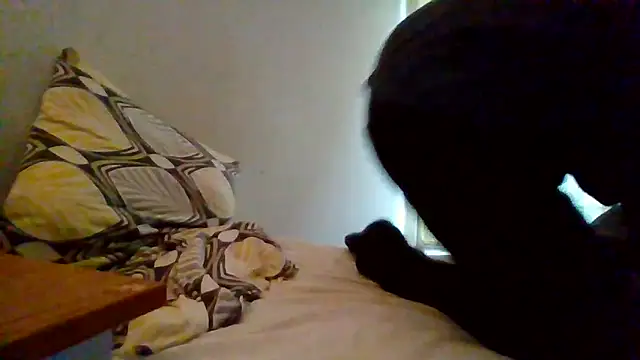 lusluk online show from 30, 12, 2024