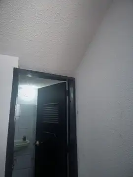 VIOLETA-25  online show from 5, 11, 2025