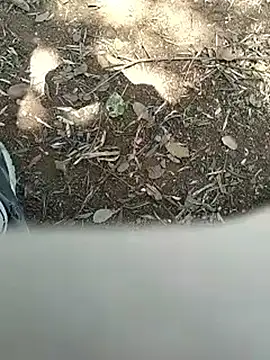 mehdi-l7away online show from 16, 4, 2026