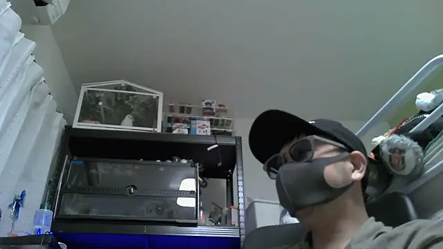 Owl1216 online show from 4, 12, 2024