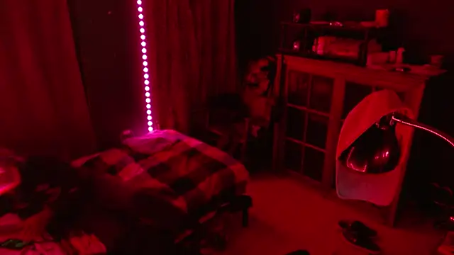 Snapshot of _______the chatting on 17, 12, 2025 the online show from 17, 12, 2025