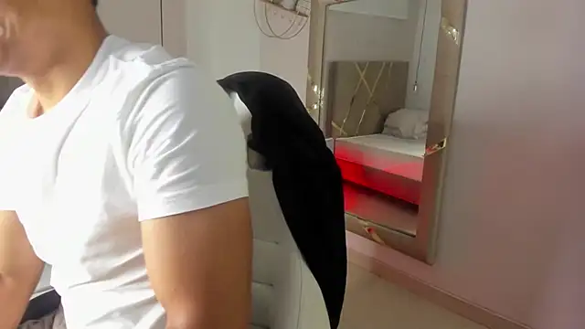 Lucii fer  online show from 1, 12, 2025