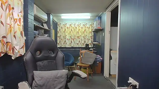 tilobinder online show from 8, 10, 2025