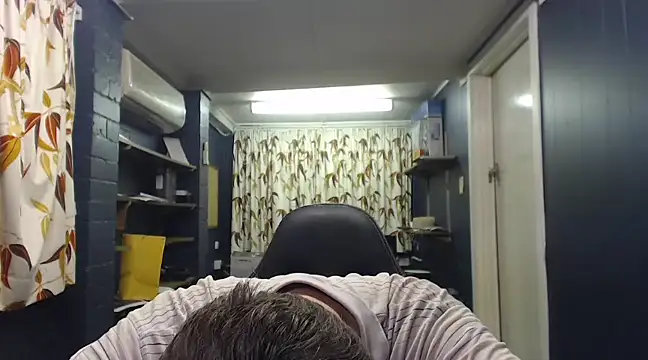 tilobinder online show from 21, 3, 2025