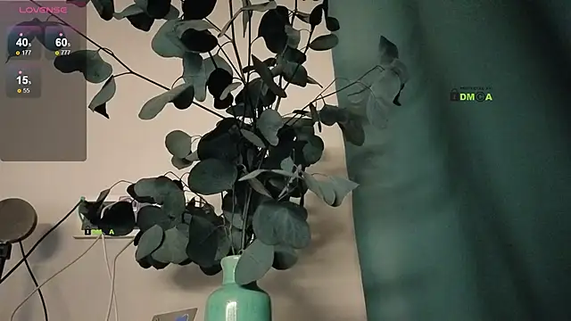 Your dream Alice online show from 25, 2, 2025