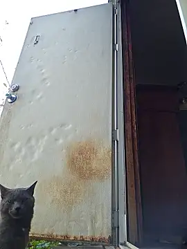 Beyond1978 online show from 15, 11, 2025