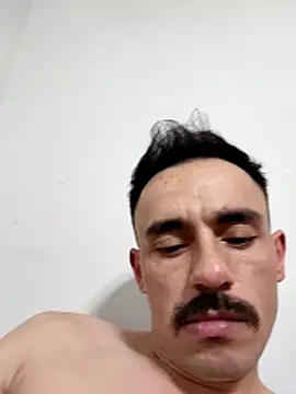 paladerler online show from 13, 2, 2026