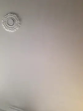 dragon1006 online show from 22, 11, 2025