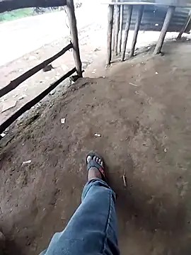 sudhastriper online show from 11, 9, 2025