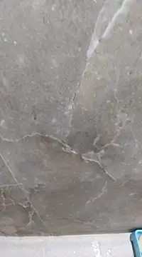 sudhastriper online show from 13, 2, 2025