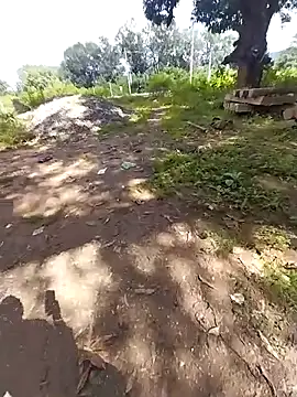 sudhastriper online show from 26, 10, 2025