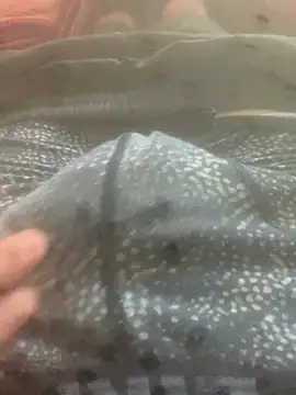 solomec online show from 12, 10, 2025