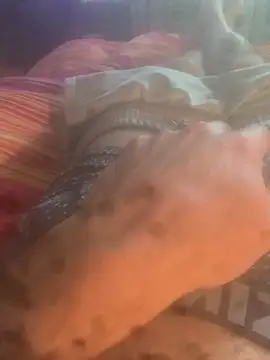 solomec online show from 20, 9, 2025