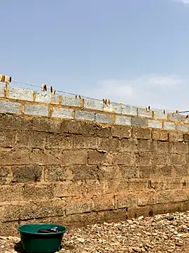 SEXY TOKYOxxx online show from 20, 9, 2025