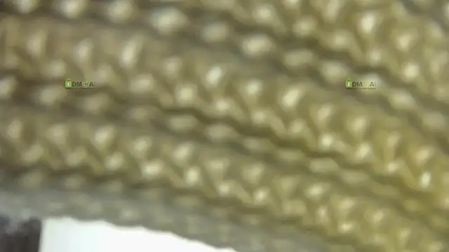 Alysta online show from 30, 10, 2025