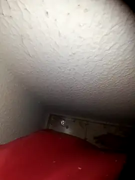 alexandre12115 online show from 2, 2, 2025