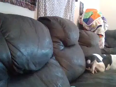 IvanaPlenty online show from 1, 2, 2025