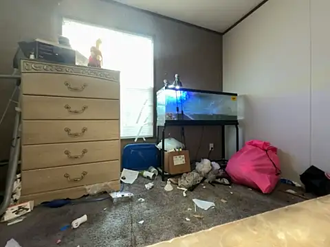 IvanaPlenty online show from 11, 9, 2025