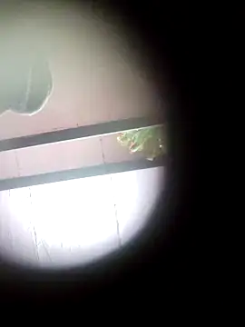 yogendra--9548 online show from 22, 12, 2024