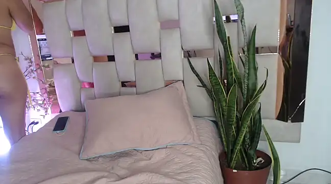 sophii12-12 online show from 3, 12, 2024