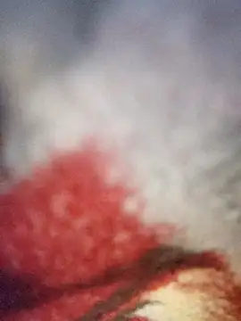 sana14 online show from 19, 12, 2025