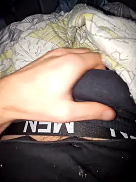 Snapshot of Landryyyyy chatting on 11, 12, 2024 Landryyyyy online show from 11, 12, 2024