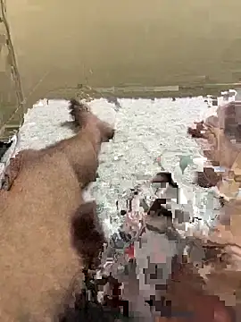 cum4mheaven online show from 22, 3, 2026