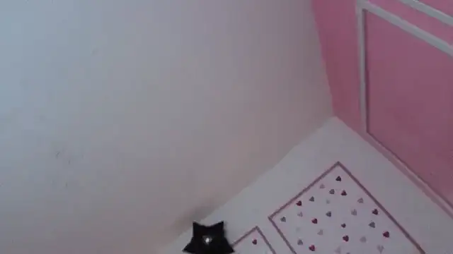 stephania t online show from 10, 1, 2026