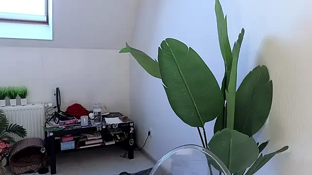 violetviolator online show from 9, 3, 2025