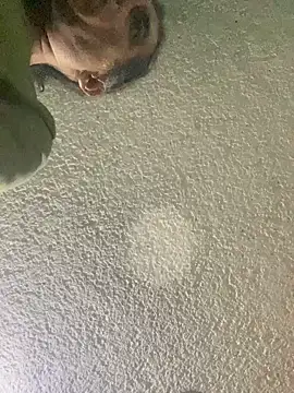 Effyvice13 online show from 29, 9, 2025