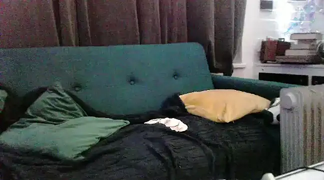 unclestefansdick online show from 16, 12, 2024