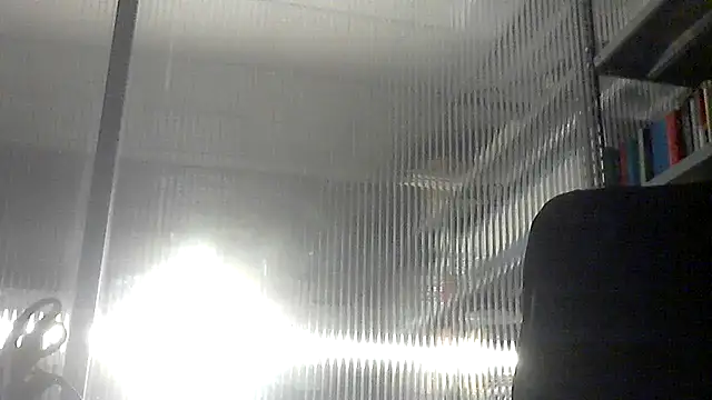 pantomax online show from 4, 11, 2025