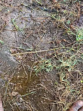 tamil000000 online show from 13, 3, 2025