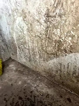 tamil000000 online show from 17, 1, 2026