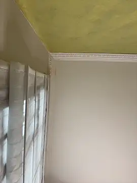 aurora divine online show from 16, 11, 2025