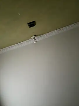 aurora divine online show from 8, 11, 2025