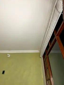 aurora divine online show from 12, 11, 2025