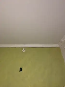 aurora divine online show from 11, 2, 2026