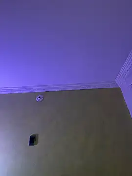 aurora divine online show from 22, 2, 2026