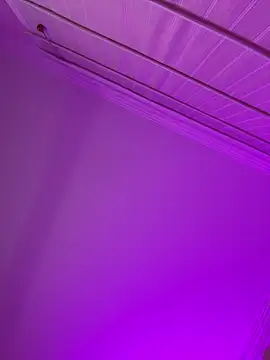 aurora divine online show from 15, 2, 2026