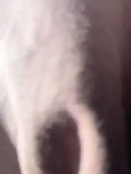 vivicolibri online show from 18, 12, 2025