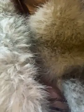 babydolll online show from 12, 3, 2025