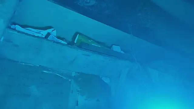 scmylife online show from 28, 11, 2025