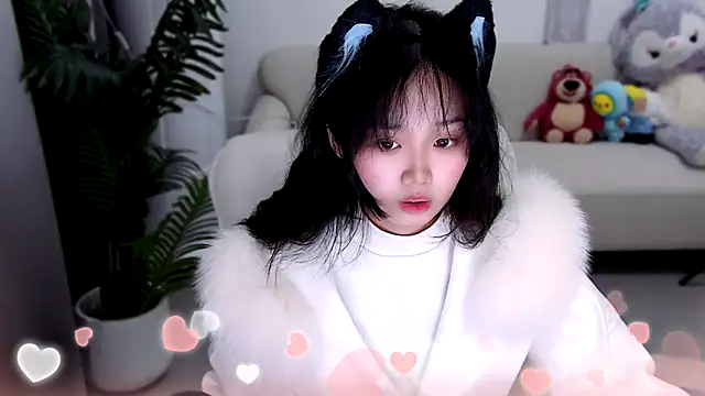 Sheep-1 online show from 10, 3, 2025