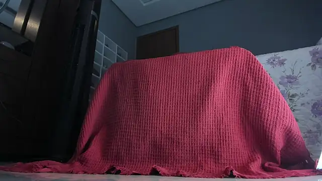 Snapshot of sherilkwang19tv chatting on 12, 1, 2026 sherilkwang19tv online show from 12, 1, 2026