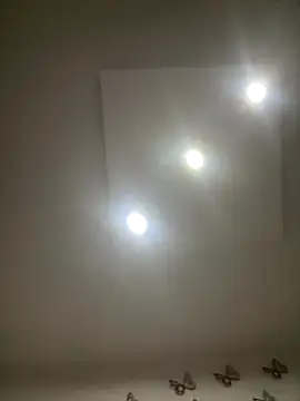 AntonellaAlondra4 online show from 14, 11, 2025