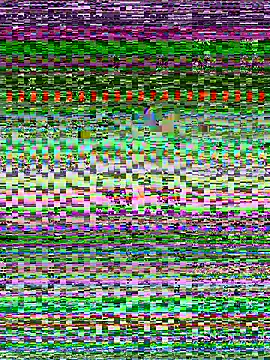 senoritaseno online show from 11, 2, 2025