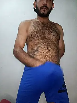 arqui009 online show from 7, 4, 2026