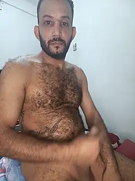 arqui009 online show from 24, 2, 2026