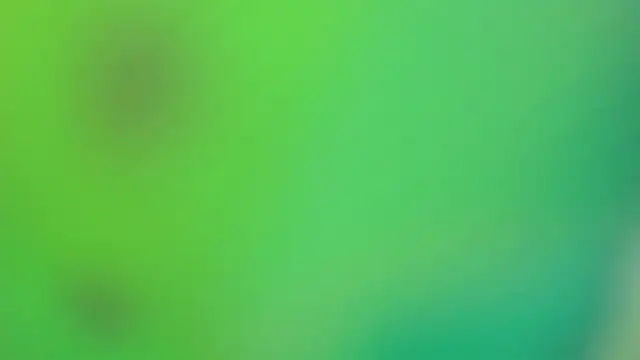 Sofia agudelo online show from 14, 11, 2025